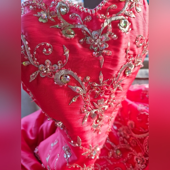 Watermelon Pink Embellished Strapless Gown - Picture 12 of 16
